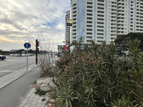 4 otaqlı yeni tikili - Həzi Aslanov m. - 200 m²