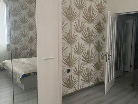 5 otaqlı həyət evi/bağ evi - Albalılıq q. - 240 m²