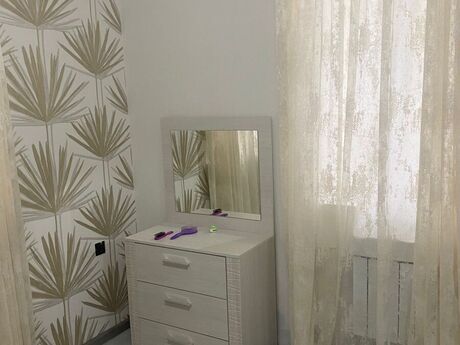 5 otaqlı həyət evi/bağ evi - Albalılıq q. - 240 m²