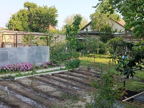 6 otaqlı həyət evi/bağ evi - Sumqayıt - 160 m²