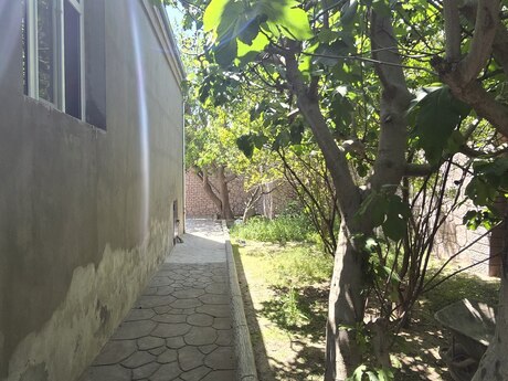 3 otaqlı həyət evi/bağ evi - Binə q. - 90 m²