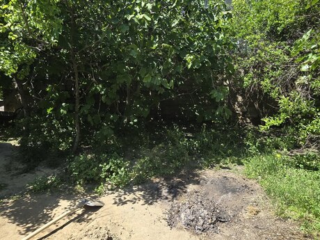 3 otaqlı həyət evi, 90 m², Binə: 150 000 ₼ 5