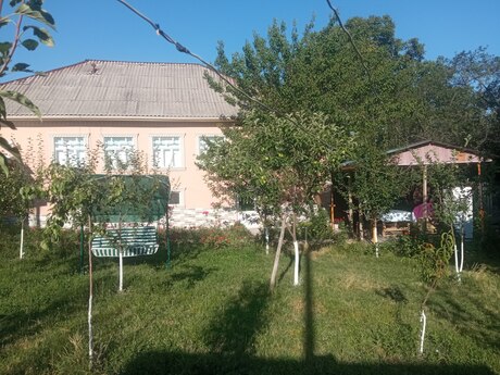 4 otaqlı həyət evi/bağ evi - Qəbələ - 100 m²