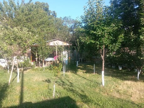 4 otaqlı həyət evi/bağ evi - Qəbələ - 100 m²