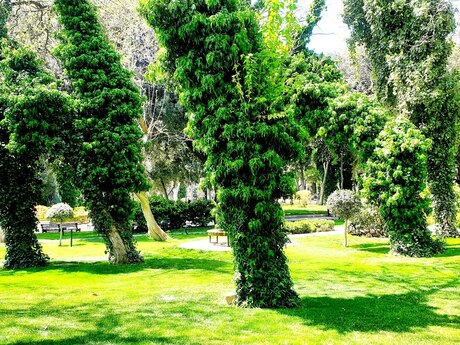 4 otaqlı yeni tikili - Nizami m. - 165 m²
