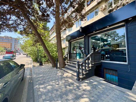 Obyekt - Azadlıq Prospekti m. - 220 m²
