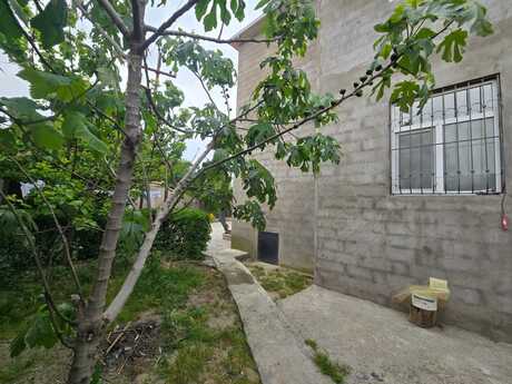 5 otaqlı həyət evi/bağ evi - Binə q. - 160 m²