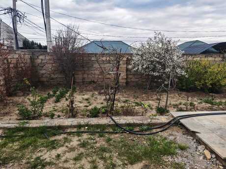 7 otaqlı həyət evi/bağ evi - Novxanı q. - 230 m²