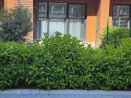 1 otaqlı yeni tikili - Sea Breeze q. - 57 m²