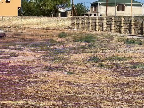 Torpaq - Nardaran q. - 6 sot