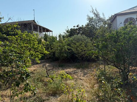 8 otaqlı həyət evi/bağ evi - Novxanı q. - 200 m²