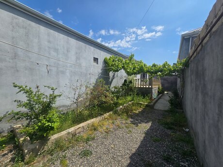 3 otaqlı həyət evi/bağ evi - Binə q. - 100 m²