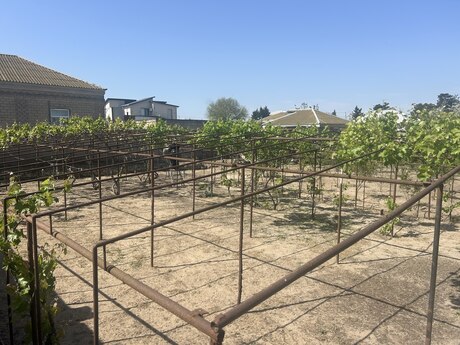 7 otaqlı həyət evi/bağ evi - Bilgəh q. - 460 m²