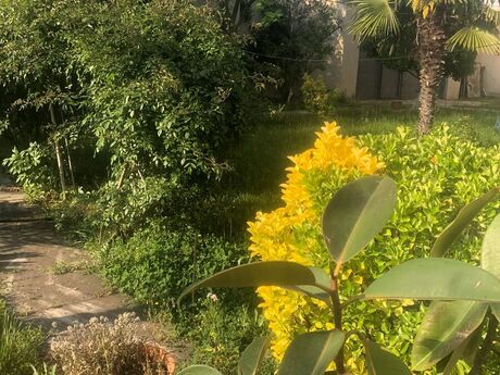 5 otaqlı həyət evi/bağ evi - Novxanı q. - 110 m²