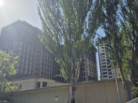 3 otaqlı yeni tikili - Nəsimi r. - 96 m²