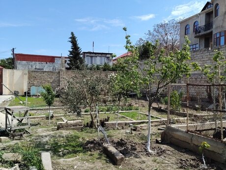 Torpaq - Bakıxanov q. - 7.4 sot