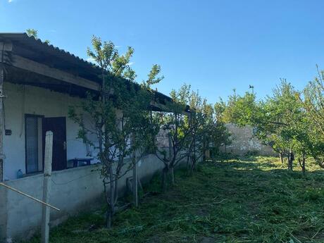 3 otaqlı həyət evi/bağ evi - Şabran - 80 m²