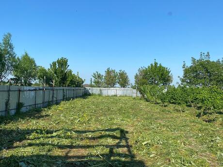 3 otaqlı həyət evi/bağ evi - Şabran - 80 m²