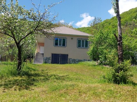 5 otaqlı həyət evi/bağ evi - İsmayıllı - 1100 m²