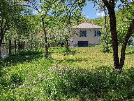 5 otaqlı həyət evi/bağ evi - İsmayıllı - 1100 m²