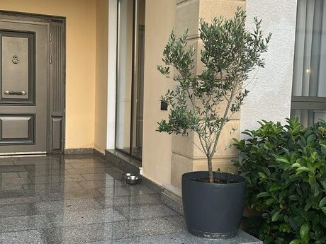 5-комн. дом/дача - пос. Мардакан - 300 м²