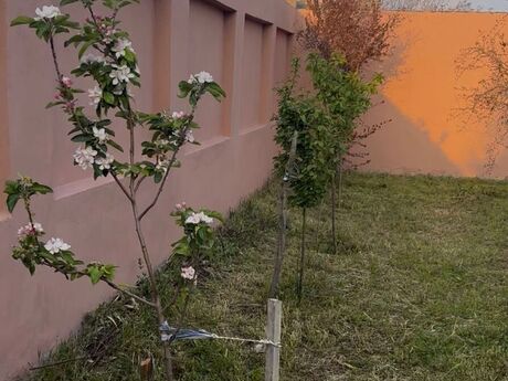 7 otaqlı həyət evi, 250 m², Mərdəkan: 480 000 ₼ 5