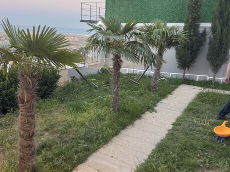3 otaqlı həyət evi/bağ evi - Badamdar q. - 100 m²