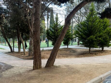 2 otaqlı köhnə tikili - Memar Əcəmi m. - 50 m²