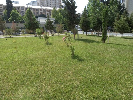 2 otaqlı yeni tikili - İnşaatçılar m. - 95 m²