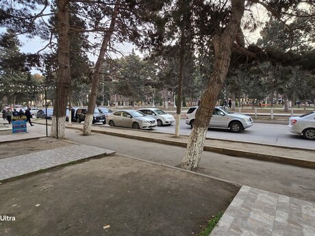 Elan №6135177 - Bakı, Abşeron r., 32.5 m²