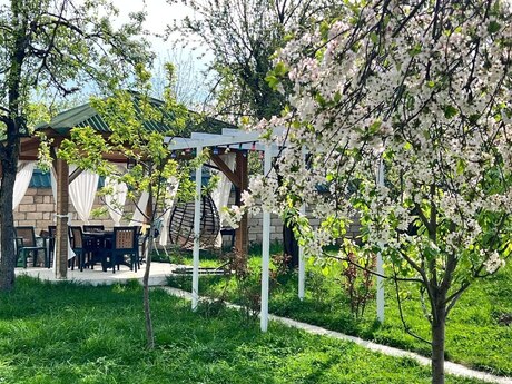 5 otaqlı həyət evi/bağ evi - Qəbələ - 200 m²
