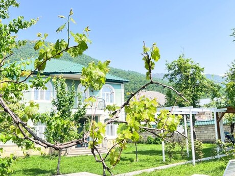 5 otaqlı həyət evi/bağ evi - Qəbələ - 200 m²