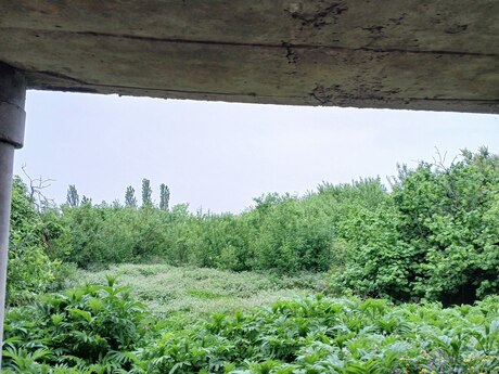 4 otaqlı həyət evi/bağ evi - Quba - 250 m²