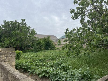 Torpaq - Saray q. - 11 sot