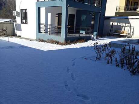 5 otaqlı həyət evi/bağ evi - Qax - 100 m²