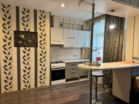 1 otaqlı yeni tikili - Yasamal r. - 45 m²