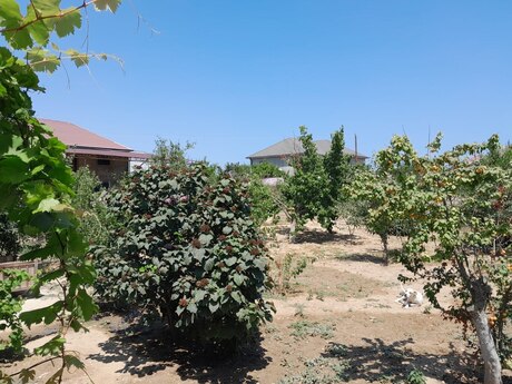 5 otaqlı həyət evi/bağ evi - Qala q. - 140 m²