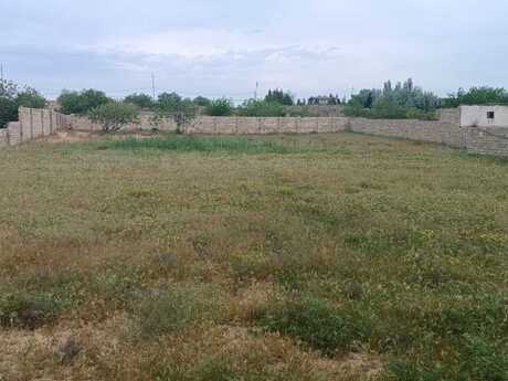 Torpaq - Nardaran q. - 44 sot
