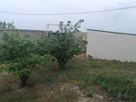 Elan №6136573 - Bakı, Nardaran q., 44 sot