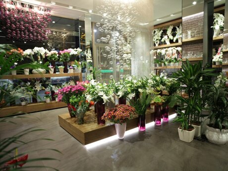 Obyekt - Elmlər Akademiyası m. - 70 m²