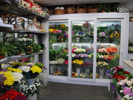 Obyekt - Elmlər Akademiyası m. - 70 m²