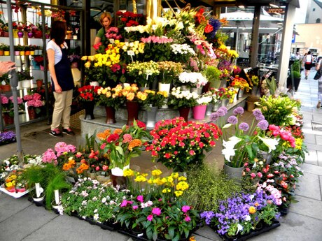 Obyekt - Elmlər Akademiyası m. - 70 m²
