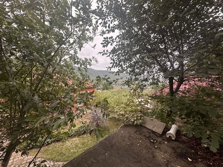 4 otaqlı həyət evi/bağ evi - Quba - 6000 m²