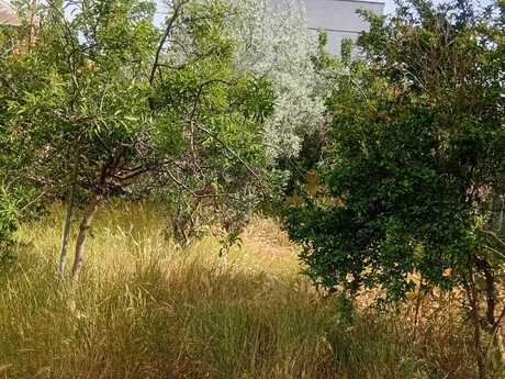 3 otaqlı həyət evi/bağ evi - Hövsan q. - 61.4 m²