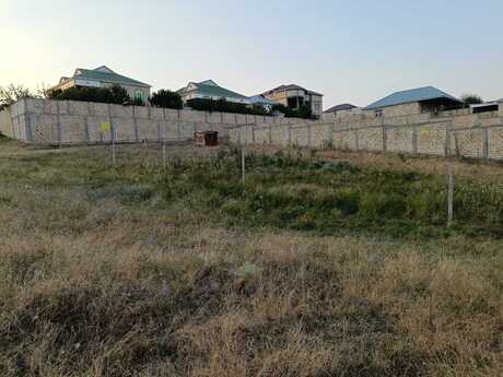Torpaq - Şamaxı - 9 sot