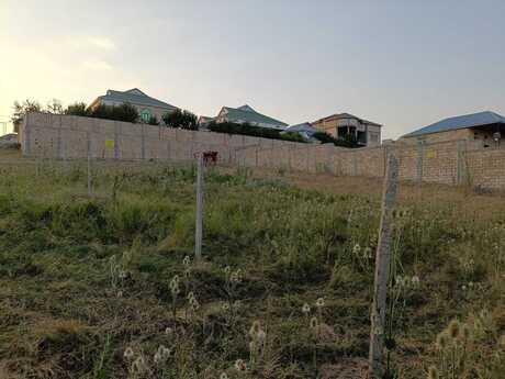 Torpaq - Şamaxı - 9 sot