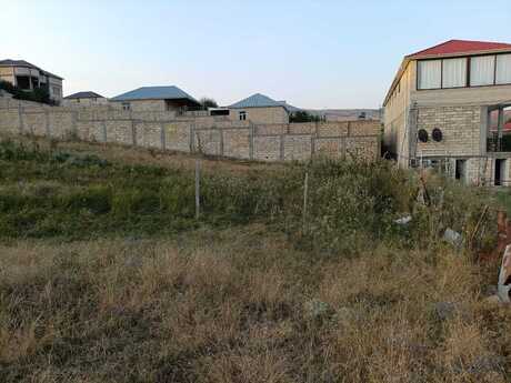 Torpaq - Şamaxı - 9 sot