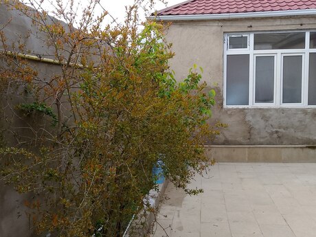 3 otaqlı həyət evi/bağ evi - Masazır q. - 85 m²