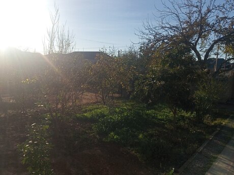 Torpaq - Qala q. - 4 sot