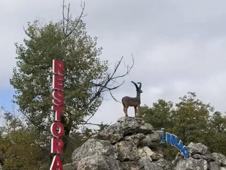 Участок - Гусар - 7.5 сот